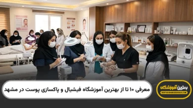 بهترین آموزشگاه فیشیال و پاکسازی پوست در مشهد